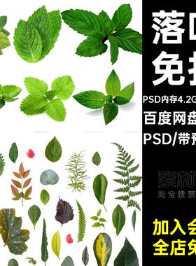 60套秋天落叶秋景免扣乡村公园枫树效果图ps素材ps免扣乡村PSpsd