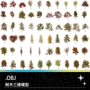 OBJ枫树梧桐糖槭银枫乔木银杏皂角蝗核桃落叶松橡木榆树模型素材