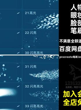 人像高光笔刷闪粉珠光procreate笔刷.brushset格式亮片闪亮脸部