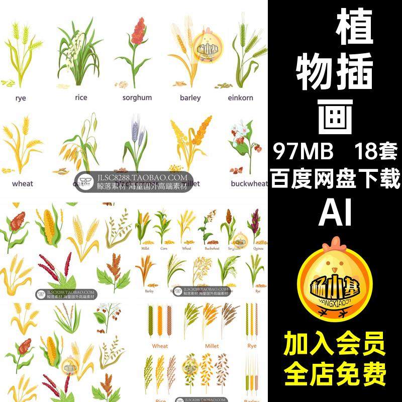 黑麦植物插画AI素材大米手绘高粱大麦小麦小米水稻插图荞麦燕麦