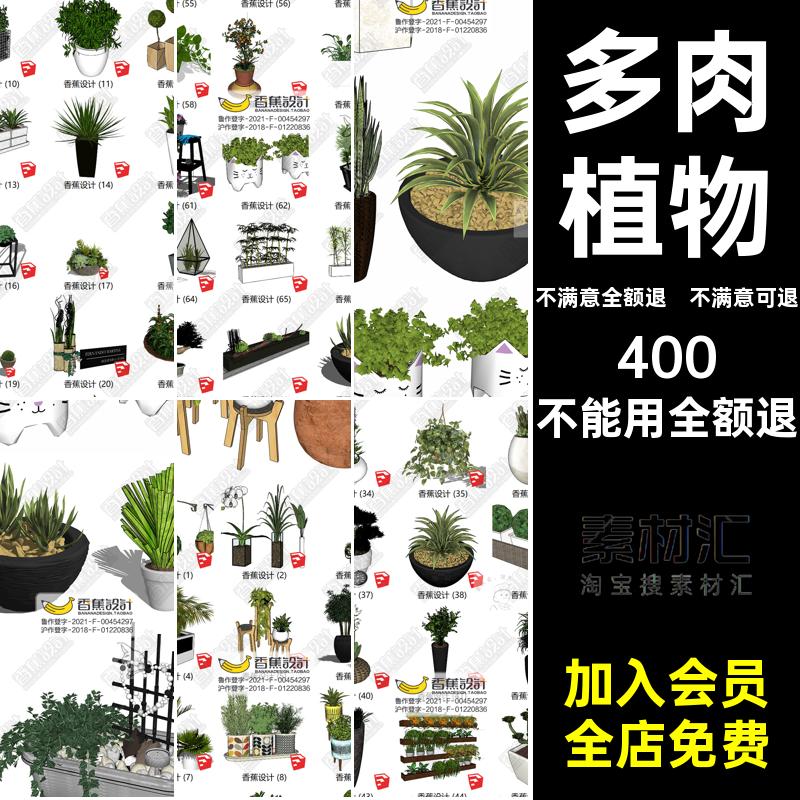 仙人掌花瓶盆栽多绿植盆景摆件园林景观吊篮现代植物花盆SU肉模型