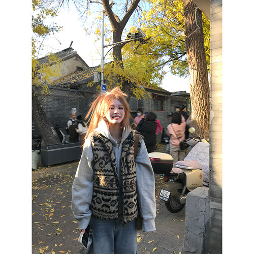 NECOYEP美式复古羊羔毛费尔岛花纹立领棉马甲男女叠穿保暖外套