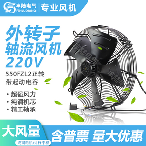丰陆550FZL2正转带起动电容风扇