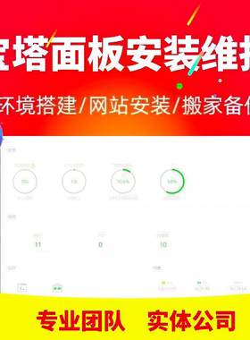 linux宝塔面板代安装 windows宝塔搭建 网站在线部署错误修复