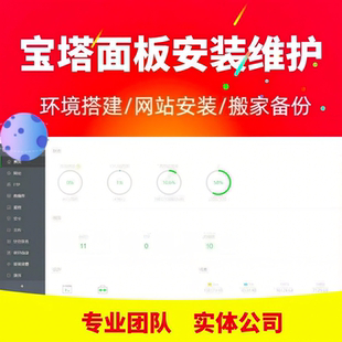 linux宝塔面板代安装 网站在线部署错误修复 windows宝塔搭建
