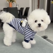 小狗衣服秋冬保暖泰迪博美比熊贵宾小型犬宠物猫咪卫衣可牵引冬装