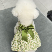 宠物狗狗裙子公主风夏季 衣服泰迪博美比熊小型犬衣服连衣裙 薄款