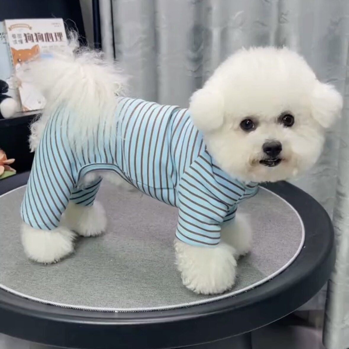 宠物家居服四脚衣秋天泰迪博美比熊贵宾雪纳瑞小型犬猫咪狗狗衣服,宠物/宠物食品及用品,狗宠物服装/雨衣,淘宝优惠券,粉丝福利购,淘宝优惠卷