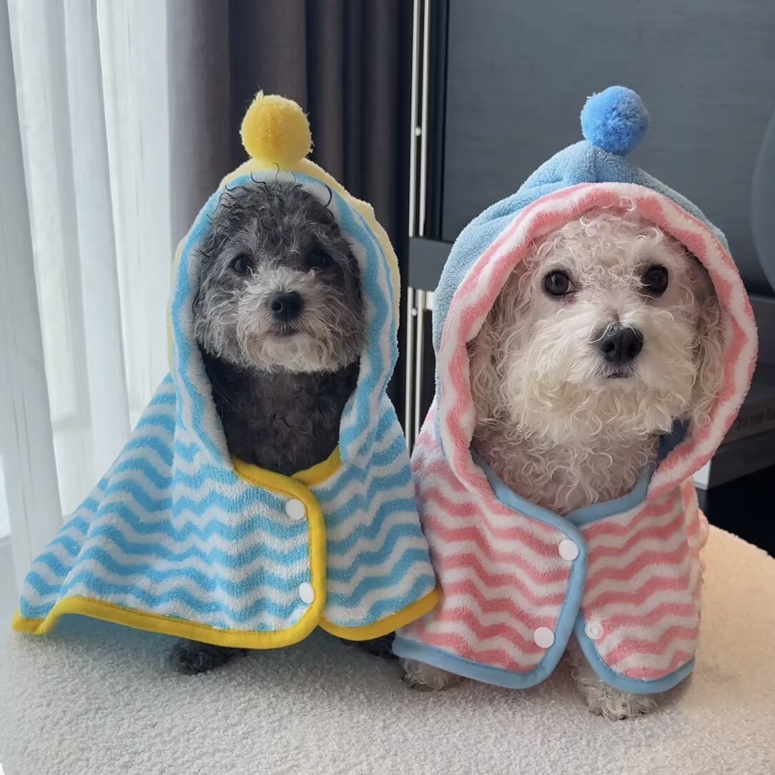 宠物浴巾强力吸水速干猫咪狗狗洗澡毛巾小中大型犬大狗连帽浴袍