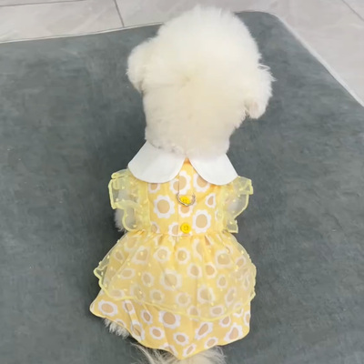 狗狗裙子夏季薄款带牵引扣小型犬泰迪博美2025新款公主裙小狗衣服