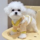比熊狗狗衣服秋冬保暖小型犬泰迪博美约克夏幼犬宠物卫衣两脚衣