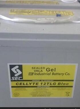 英国进口SEC蓄电池12TLG70 BLOC铅酸电池12v70ah 包邮