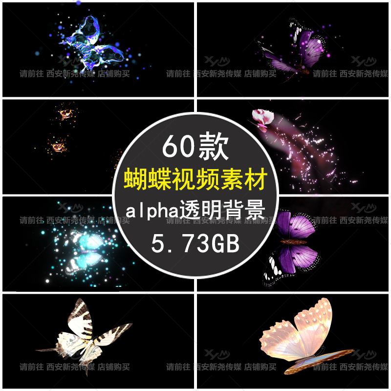 蝴蝶飞拖尾粒子后期特效合成动态AE带alpha通道透明背景视频素材