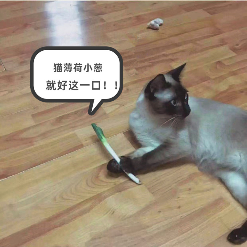 东北小葱猫薄荷玩具抱枕陪睡玩具