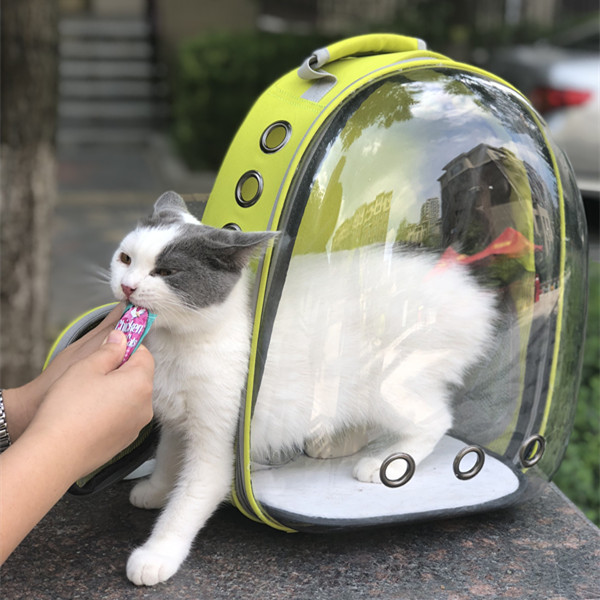 全透明猫包猫外出便携包猫笼外出包猫咪外出双肩包猫包太空舱大号
