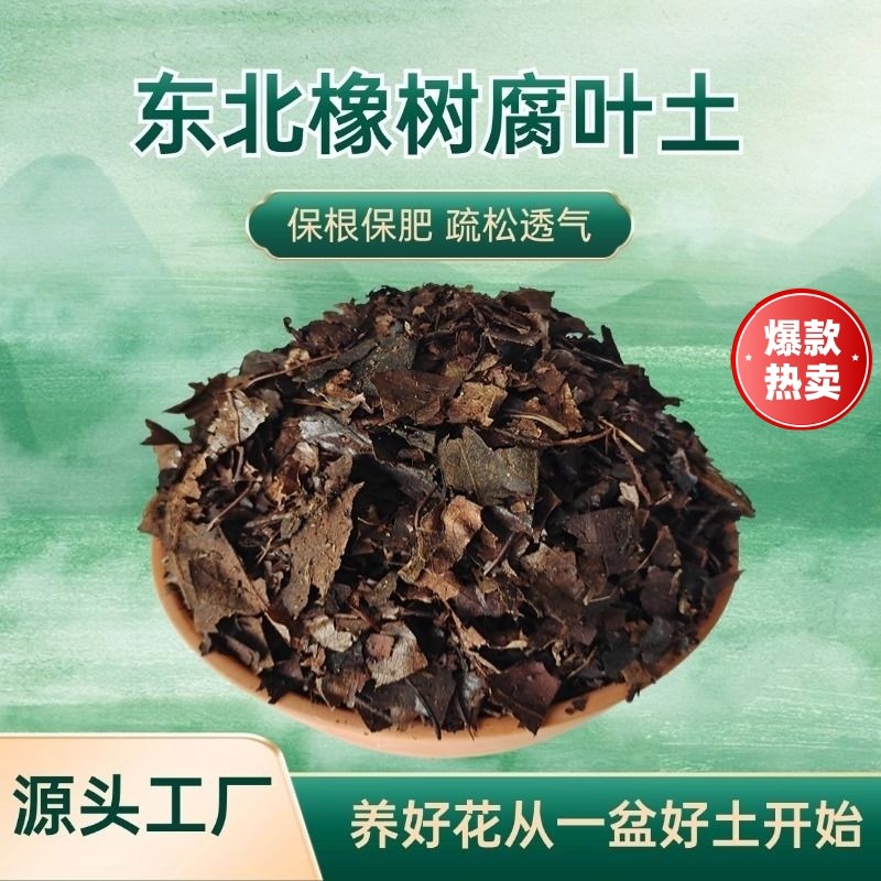 发酵腐熟橡树腐叶君子兰营养土腐殖土阳台庭院花卉果蔬通用酸性土