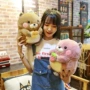 Vẫn dễ thương búp bê mặt đất hamster đồ chơi sang trọng dễ thương nốt ruồi con chó con gối gối trẻ em búp bê nam và nữ quà tặng - Đồ chơi mềm gấu bông heo