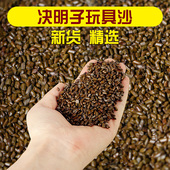 小孩宝宝沙滩玩沙子 做枕芯20斤装 儿童决明子玩具沙池套装 家用散装