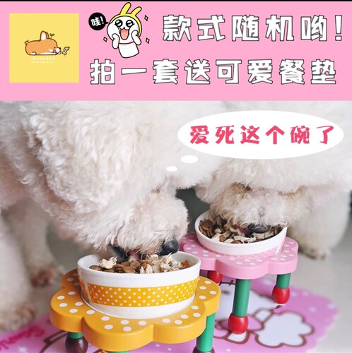 宠物猫咪高脚陶瓷泰迪狗狗吃饭