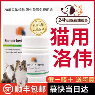 泛昔洛韦猫鼻乳铁蛋白赖氨酸口服液营养泛昔韦洛韦片猫用伐昔洛韦