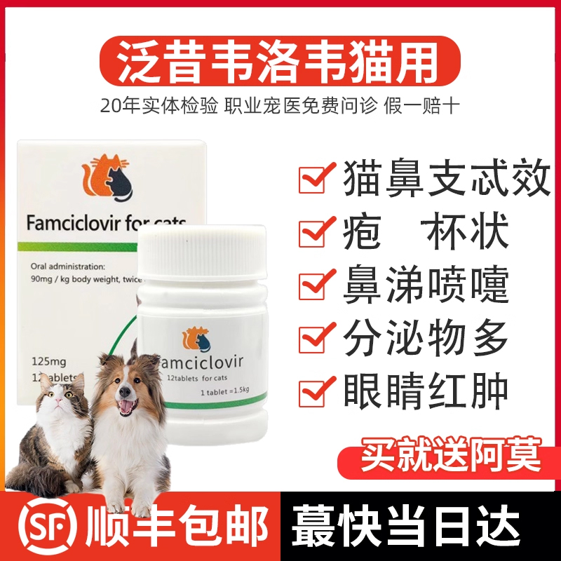 猫鼻支特效治疗猫咪营养补充