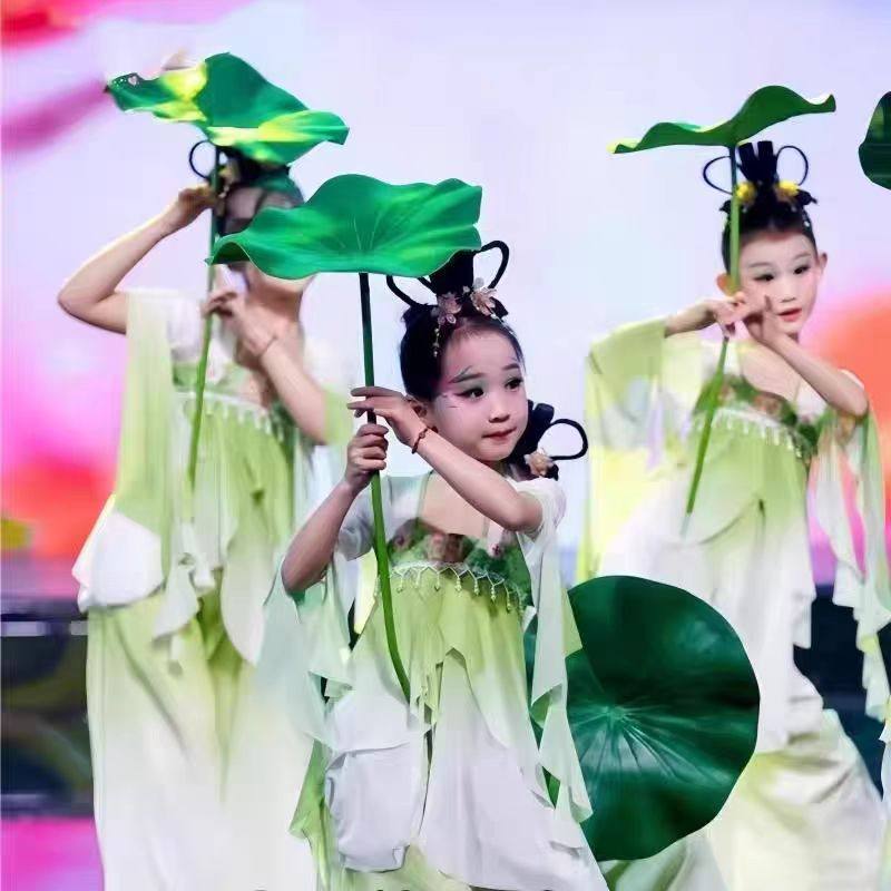 古典舞荷花仙子中国大陆基础演出