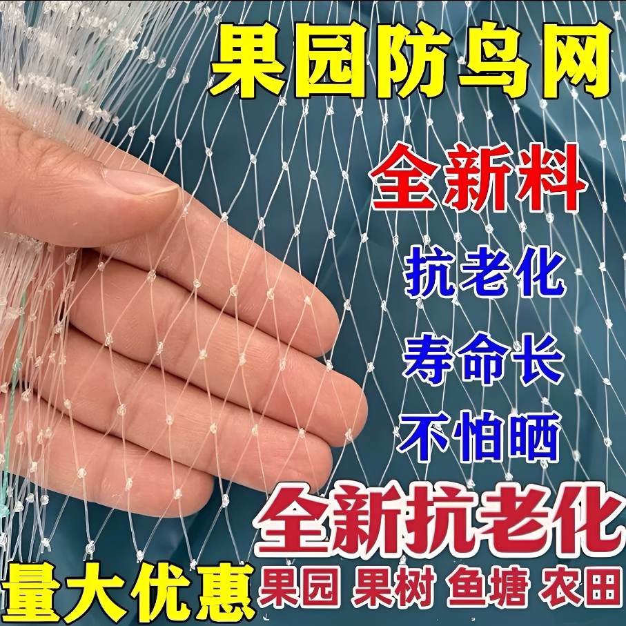 大棚果园鱼塘全新尼龙防鸟网