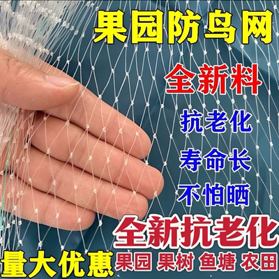大棚果园鱼塘全新尼龙防鸟网
