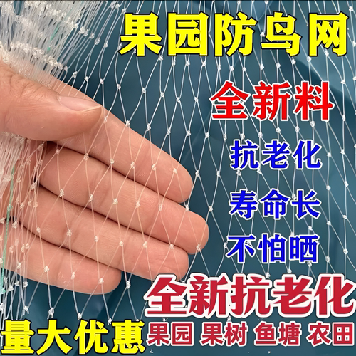 大棚果园鱼塘全新尼龙防鸟网