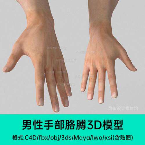 手臂建模手部胳膊真人模型人物手势C4D3D素材max贴图男人