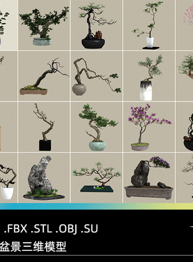 盆景盆栽3DBlender中式植物庭院C4D松树OBJC4D.FBX.STL.OBJ.SU