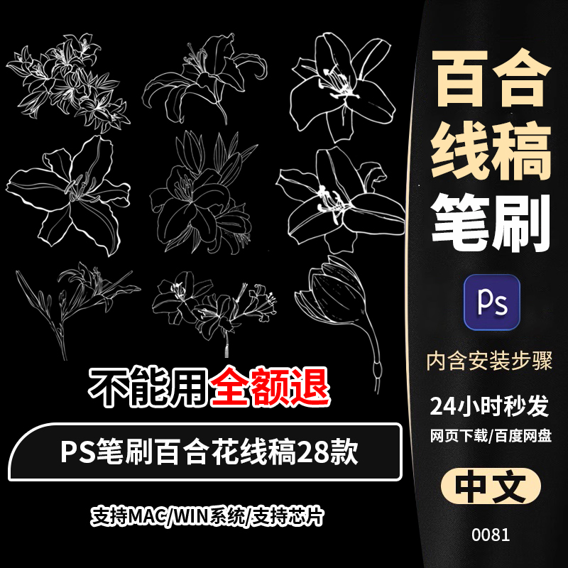 photoshop笔刷ps笔刷花卉植物线稿百合花鲜花朵图案手绘插画练习