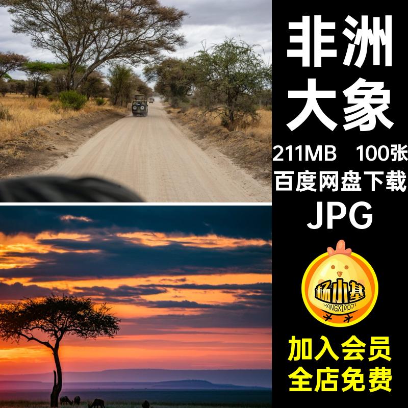 非洲草原JPG100张人文自然风景动物照片大象沙漠风光景观图片素材