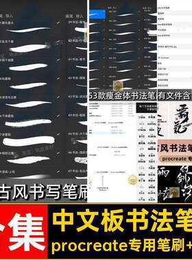 中文板书法笔刷瘦金体ipad水墨procreate写合集写字