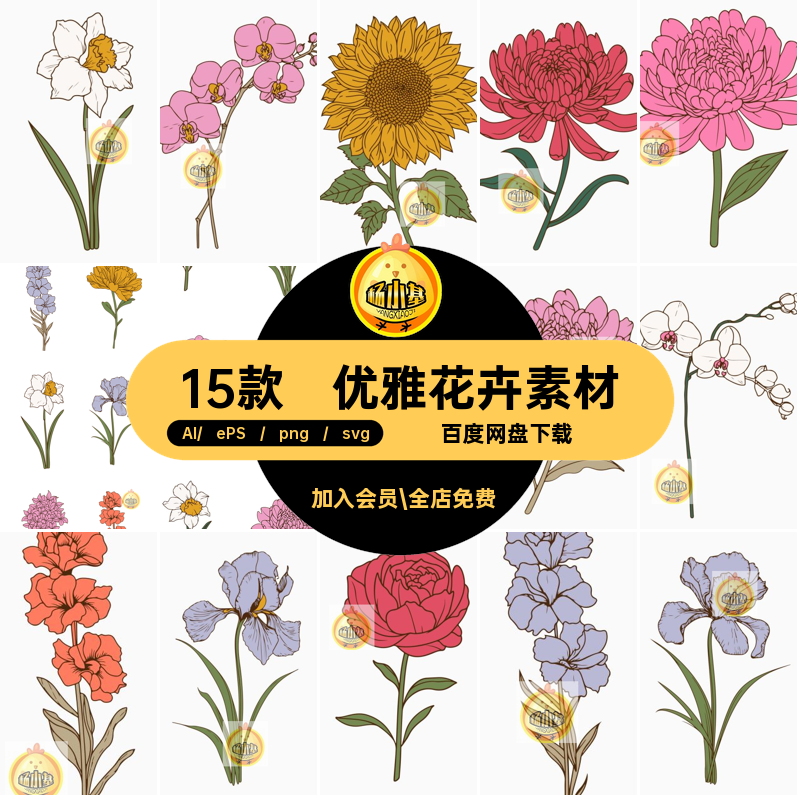 15朵优雅精美手绘花朵花卉植物AI矢量插画插图png免扣图片素材svg
