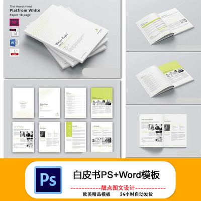 A4现代商业企业项目白皮书籍书刊排版设计ID WORD模板素材16页
