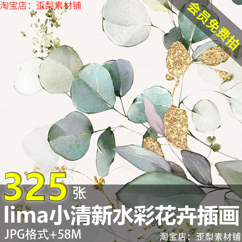 国外lima小清新水彩绘画花朵花卉手绘画画设计临摹参考图片素材