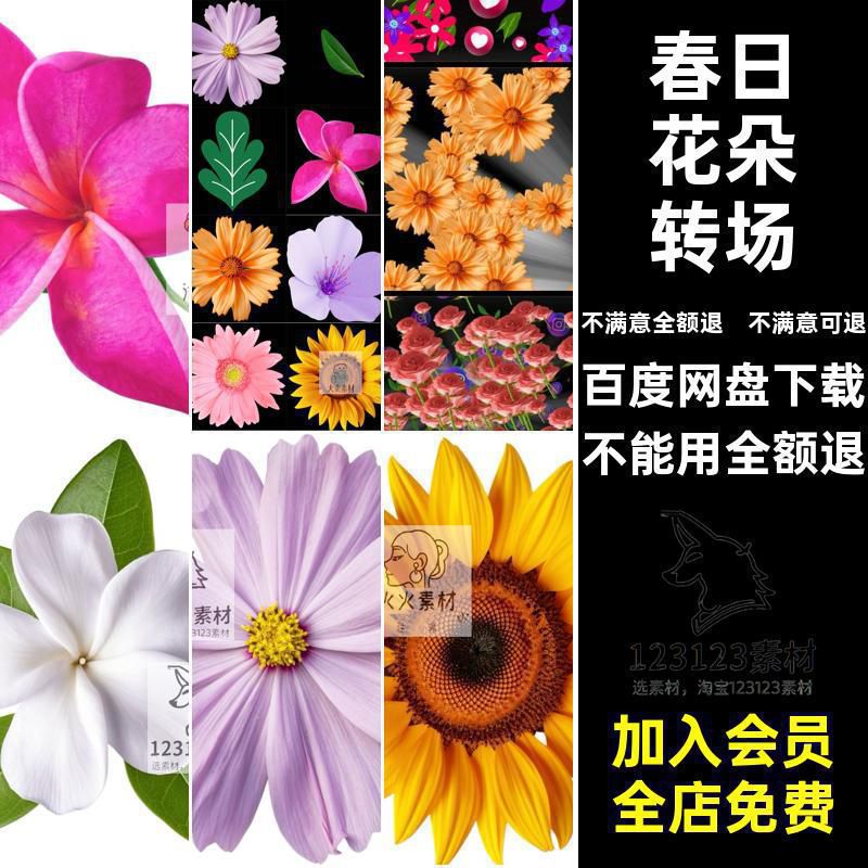 春日时光花朵鲜花花卉绿叶视频转场装饰动画动效素材AE模板
