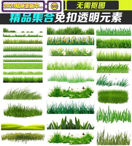 72款绿色草丛草地草坪高清小草PNG免抠图片PS美化装饰剪切素材