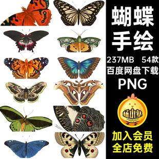 54款复古飞蛾扣昆虫手手标本扣图案PNG蝴蝶素材账扣免素材54款