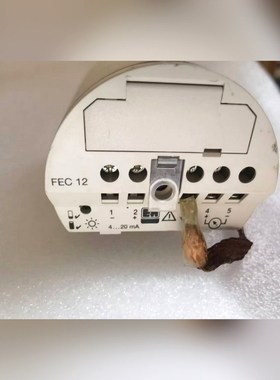 恩德斯豪斯液位计FEC12模块功能包好成色如图低价转包 议价