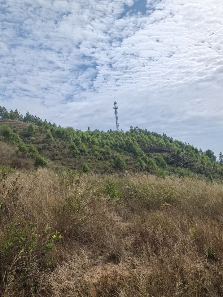 瑞金市黄柏乡向阳村流坑小组林地（4）