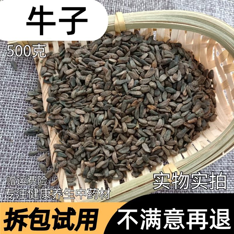牵牛子中药 牵牛子中药牵牛子正品新货500克免费磨牵牛子粉
