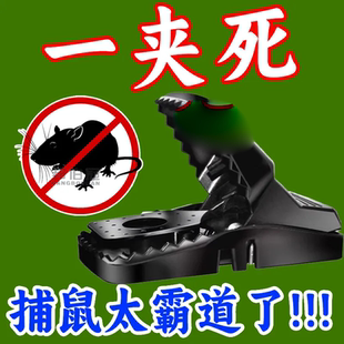 新老鼠夹子大号捕鼠器家用超强逮耗子笼一窝端抓捉灭鼠神器 加强版