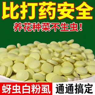 糖化硼肥片园艺防虫片绿植花卉防虫颗粒园艺驱虫片驱蚊虫防飞蚜虫