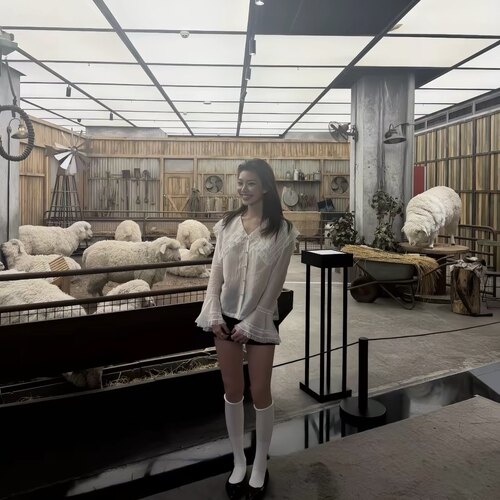 倪拉____漫游记* 法式少女翻领娃娃天丝衬衫 清透の早秋系