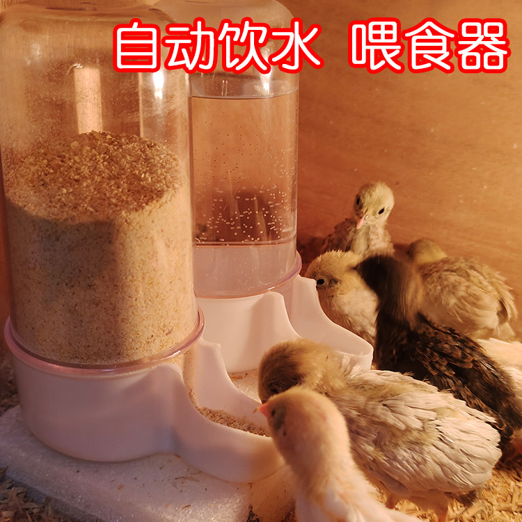 豆豆家的萌宠自动饮水器喂食器