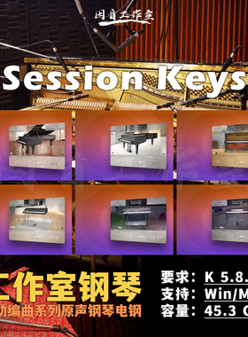 自动编曲系列钢琴电钢全套Session Keys Upright/S/W/Y工作室钢琴