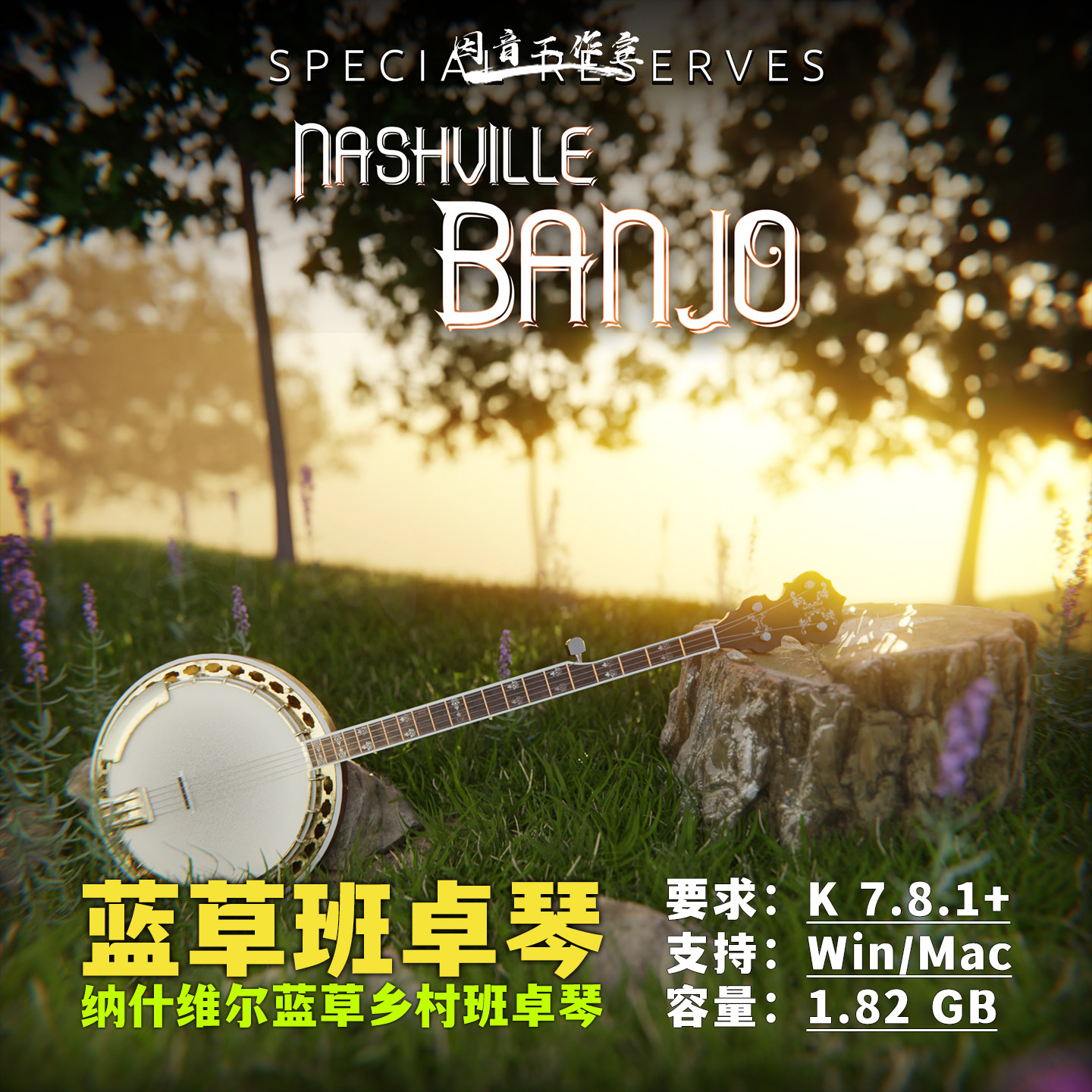 蓝草乡村民谣班卓琴音源图片