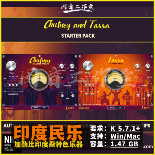 加勒比印度裔特色异域民乐音源